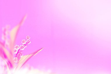 Bahar manzarası. Vadi zambağı çiçekleri. Açık havada.