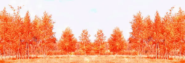 Vervagend Herfstlandschap Bomen Met Felgekleurde Bladeren — Stockfoto