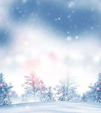 Karla kaplı ağaçlarla donmuş kış ormanı. Açık hava