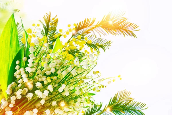 Lily Valley Flower White Background Bush Yellow Mimosa Nature — Stock Photo, Image
