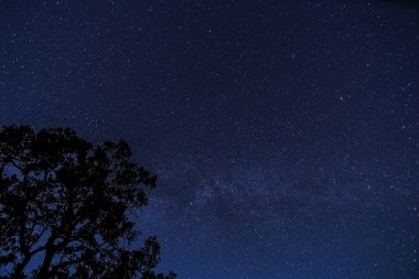 Yıldızlı gökyüzü manzara