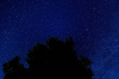 Yıldızlı gökyüzü manzara