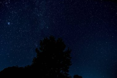 Yıldızlı gökyüzü manzara