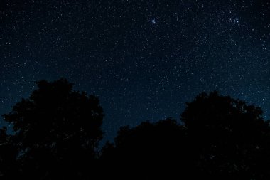 Yıldızlı gökyüzü manzara