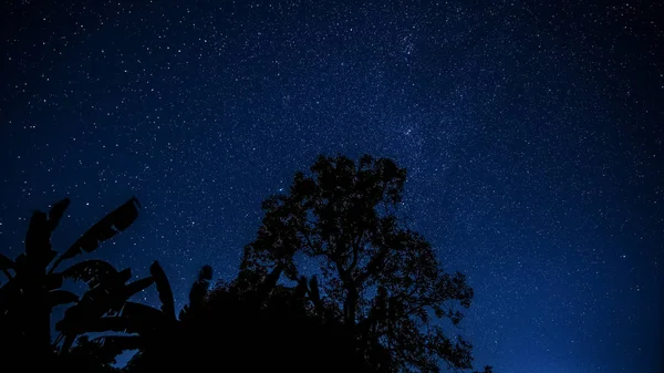 Cielo estrellado paisaje — Foto de Stock