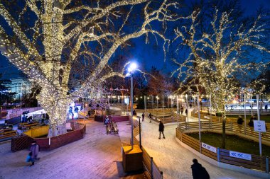 Viyana Buz Rüyası 2020