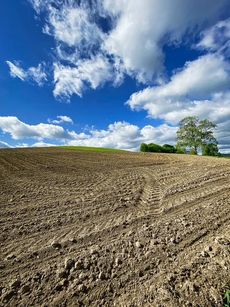 Landscape Agriculture, field with blue sky and cumulus clouds