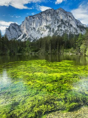 Yeşil Göl Avusturya, dağlarda eriyen su