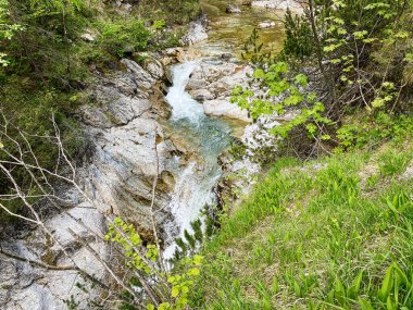Avusturya 'nın aşağısındaki oetschergraben temiz suyu olan bir vadi.