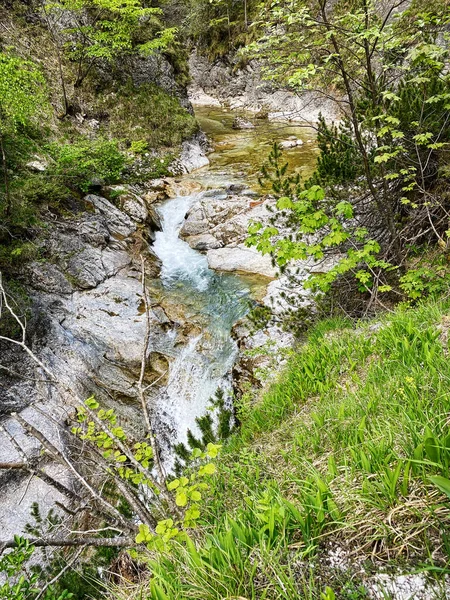 Oetschergraben Niederösterreich Ist Eine Schlucht Mit Klarem Wasser — Stockfoto