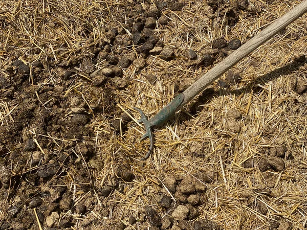 Odpady Widłami Gnoje Narzędziami Rolniczymi — Zdjęcie stockowe