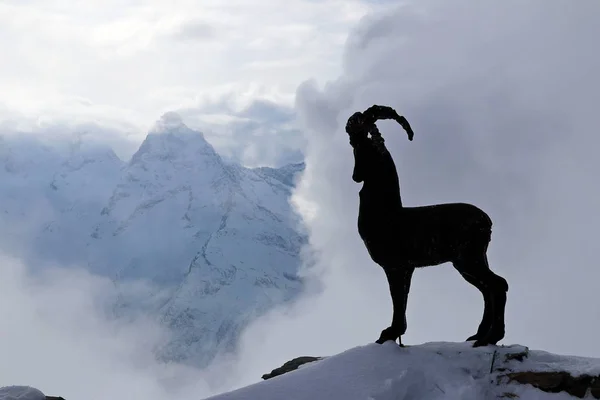 Karlı dağlardan oluşan bir arka planda bir keçinin silueti