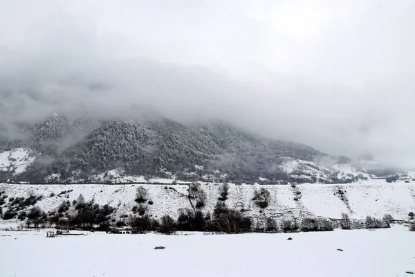 Zimní les pokrytý mlhou na úbočí hory — Stock fotografie