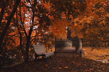 Karanlık bir sonbahar parkında köprünün yanında beyaz bir bank.