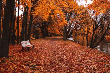 Karanlık bir sonbahar parkında beyaz bir bank.
