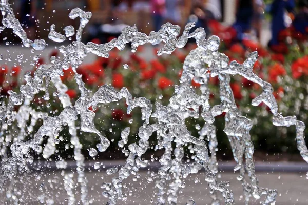 Fonte close-up de gotas de água flores fundo — Fotografia de Stock