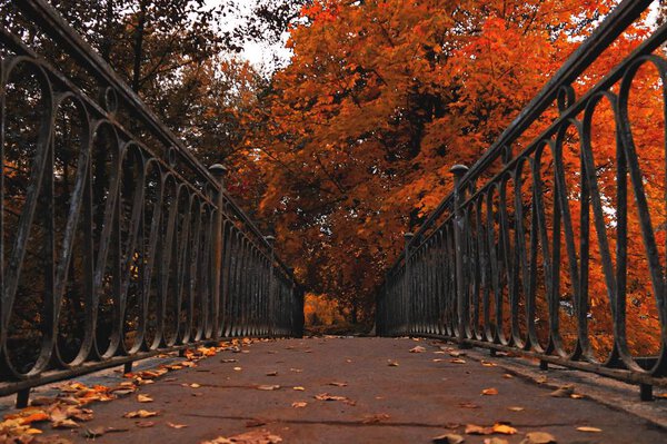 старый мост с металлическими перилами в темном осеннем парке
