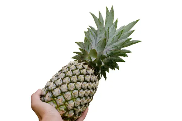 Ananas rękę na białym tle — Zdjęcie stockowe