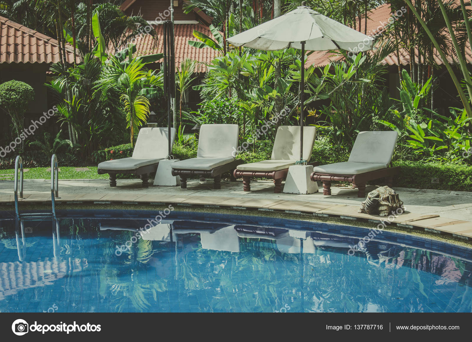 Vintage Chairs Swimming Pool Stock Photo C Aoo8449 137787716