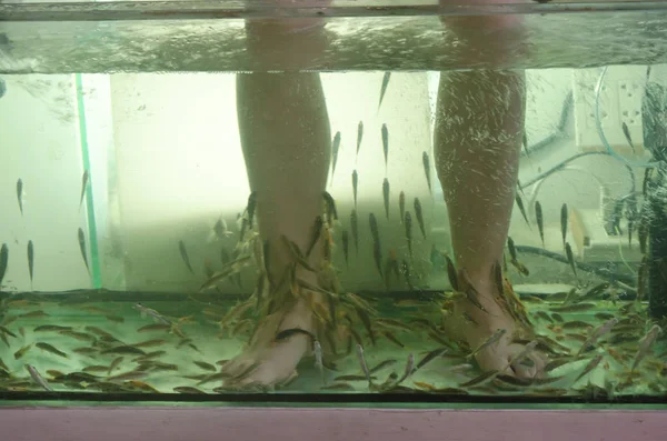 Foot Fish Spa — Stock Photo, Image