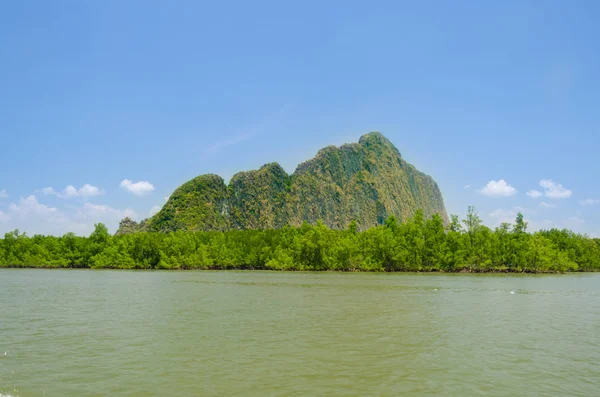 Mangrovový Les Phang Nga — Stock fotografie