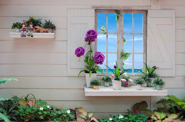 Fioletowe kwiaty przez okno — Zdjęcie stockowe