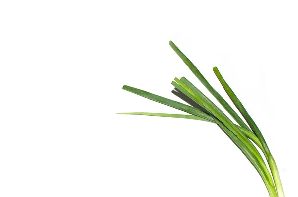 Spring onion on White Background — Stock Photo, Image