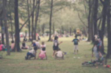 Bulanıklık Vintage Park