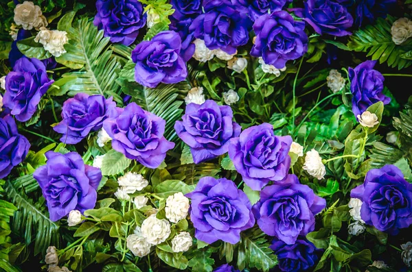 紫色玫瑰葡萄酒 — 图库照片