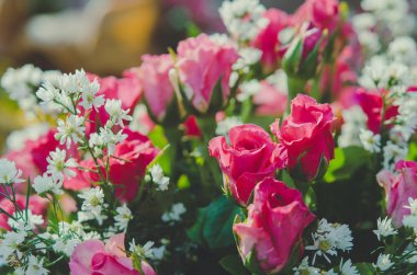 Vintage kırmızı güller