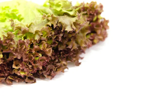 Red oak salad — Stock Photo, Image