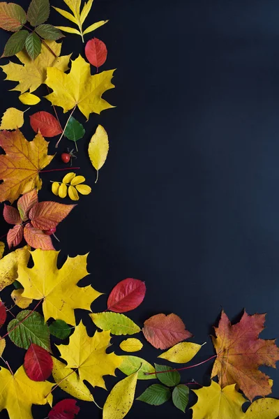 Autumn leaves on a black background — Stock Photo, Image