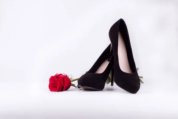 Women Accessories White Background Black Stilettos Red Rose — Stock Photo, Image