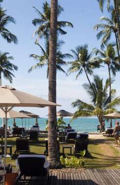 Palmiye ağaçları gökyüzü arka planı