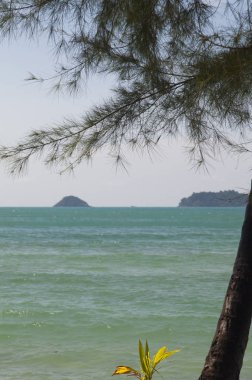 Güzel deniz manzarası