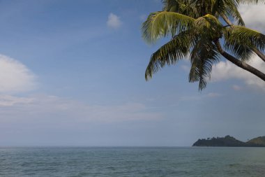 Güzel deniz manzarası