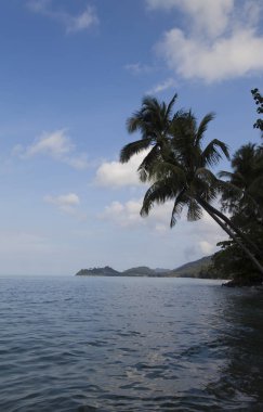 Güzel deniz manzarası