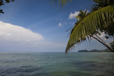 Güzel deniz manzarası