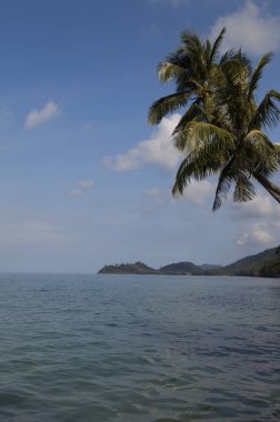 Güzel deniz manzarası