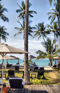 Palmiye ağaçları gökyüzü arka planı