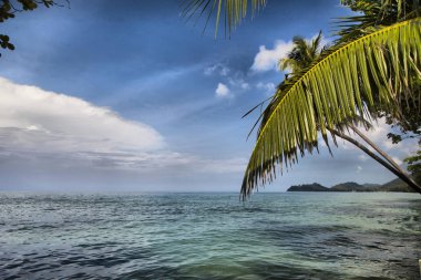 Güzel deniz manzarası