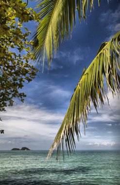 Güzel deniz manzarası