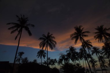 Deniz kenarında düşüş