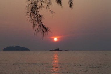 Güzel tropikal düşüş