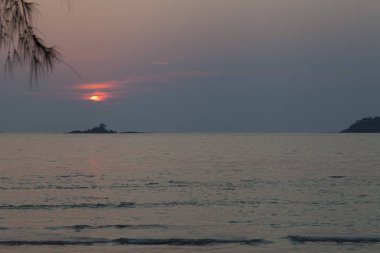 Güzel tropikal düşüş