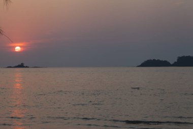 Güzel tropikal düşüş