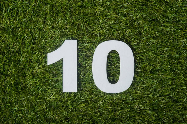 Number ten made of wooden on green grass background