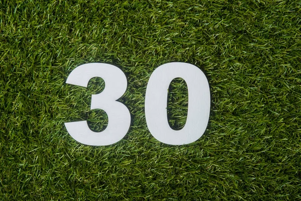 Number thirty made of wooden on green grass background
