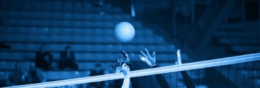 Kız voleybol oyuncusu ve ayarı dikenli bir top için hazırlıyor 