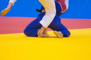 Beyaz ve mavi üniformalı iki judo dövüşçüsi